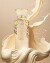 Fragrance World Creme Of Clouds Edp - 100 Ml