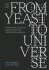 From Yeast To Universe