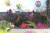 Marabu - Window Color - Fun Fancy Vinduesmaling - Fe Motiver