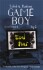 Gameboy - 13 Historier - Bog 2