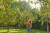 Gardena - Combisystem - Teleskopstang - 160-290 Cm