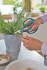 Gardena - Herbcut Urtesaks - Rustfrit Stål - L 25 4 Cm