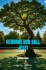 Gewinne Den Ball Jetzt