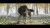 Ghost Of Yotei