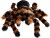 Edderkop Bamse - Tarantel - 70 Cm - Mikamax