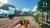 Gigantosaurus Dino Kart Import