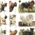Glansbilleder - Hunde - 2 Ark