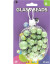 Glass Marbles 25 Stk - Assorteret