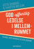 God Offentlig Ledelse I Mellemrummet