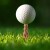 Kikkerland - Golf Tee - Gnaver - Plastik - 6 Stk