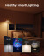 Govee Uplighter Gulvlampe