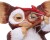 Gremlins - Gizmo - Ready Aim Fire
