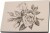 Gummistempel 14X10 Rose