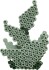 Hama Art - Sukkulenter Perlesæt - 6000 Midi Perler - 3622