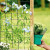 Hape - Grow Play Pottebord