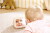 Hape - Stand-Alone Roll - Snurretromme Med Spejl
