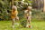 Hape - Pointed Garden Shovel - Spids Skovl Til Børn - Grøn
