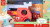 Hape - The Roaring Fire Truck - Brandbil Legetøj Med Lyd