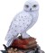 Hedwig - Harry Potter Statuette - Nemesis Now - 22 Cm