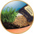 Harry Potter - Mandragola - Terrarium Kit