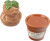 Harry Potter - Mandrake And Plant Pot Salt And Pepper Shakers