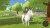 Harvest Moon The Winds Of Anthos Complete Edition