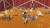 Harvest Moon The Winds Of Anthos Complete Edition