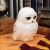 Harry Potter 3D Lampe - Hedwig Ugle - Wizarding World