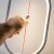 Heng Balance Lamp - Oval - Hvid
