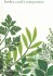 Herb A Cook S Companion