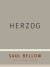 Herzog