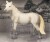 Hest Figur Hvid - Model Series - Animal Universe - 22X10X14 5 Cm