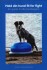 Hold Din Hund Fit For Fight