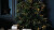 Hombli - Smart Christmas Lights