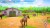 Horse Club Adventures - Kode I Boks