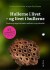 Hullerne I Livet - Og Livet I Hullerne