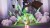 Hunter X Hunter Nen X Impact Limited Edition