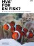 Hva For En Fisk