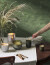 Illume - Duftlys - Balsam Og Cedar - Crackle Glas - 40 Timer