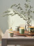 Illume - Duftlys - Hinoki Sage - 50 Timer