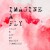 Imagine A Fly