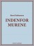 Indenfor Murene