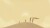 Journey Collector S Edition