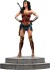 Justice League - Zack Snyder - Wonder Woman Statue - Skala 1 6