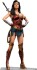 Justice League - Zack Snyder - Wonder Woman Statue - Skala 1 6