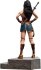 Justice League - Zack Snyder - Wonder Woman Statue - Skala 1 6