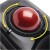 Kensington - Expert Trackball Wireless - Black