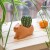 Kikkerland - Urtepotteskjuler - Cappy The Capybara Planter