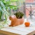 Kikkerland - Urtepotteskjuler - Cappy The Capybara Planter - Stor