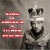 Elvis Costello - King Of America Other Realms - Super Deluxe